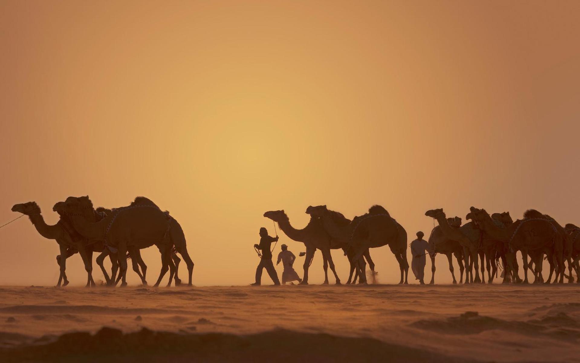 Anantara Qasr Al Sarab Desert Resort Jereirah Ngoại thất bức ảnh